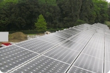 Eurotier4
